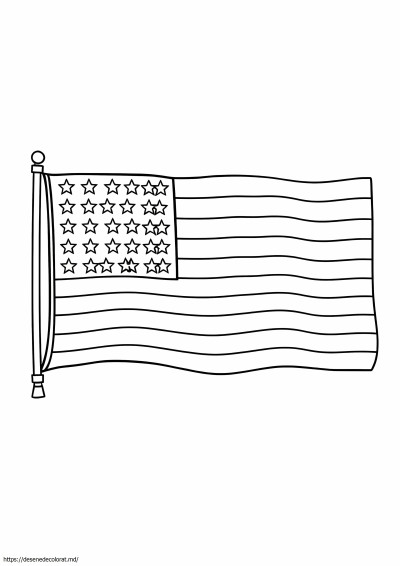Steag american