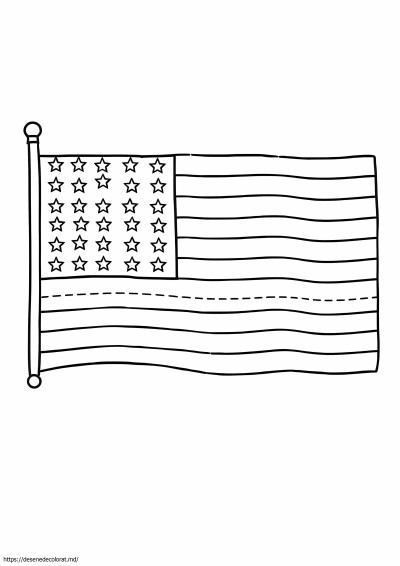 Steag american gol