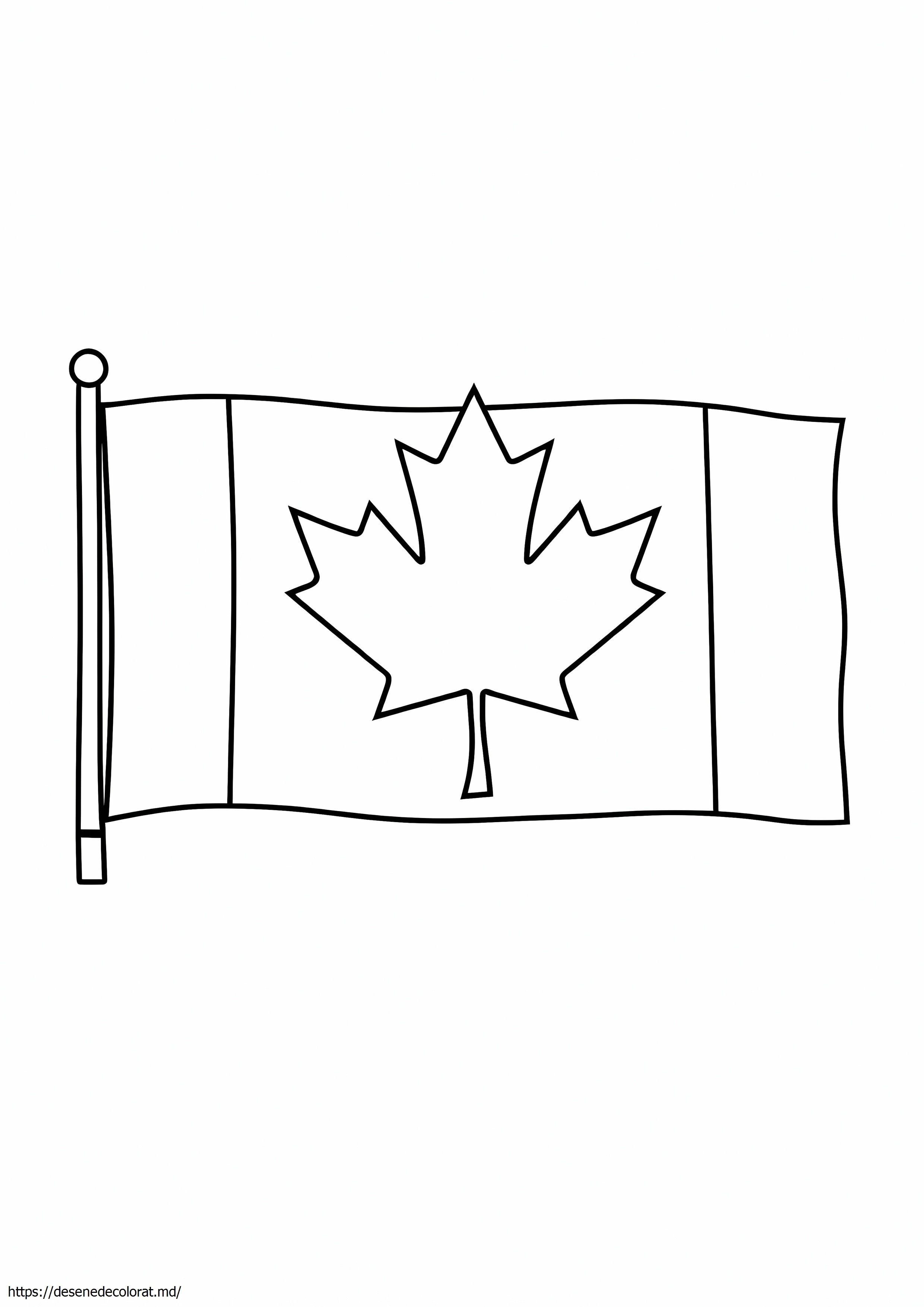 Steag canadian