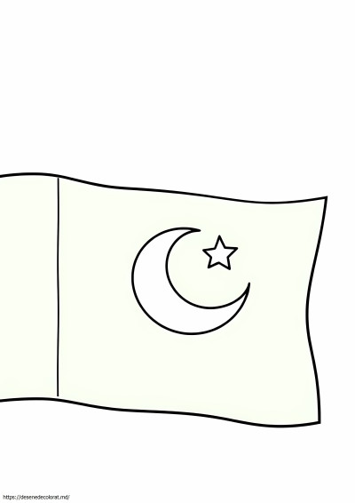 Steag pakistanez pentru