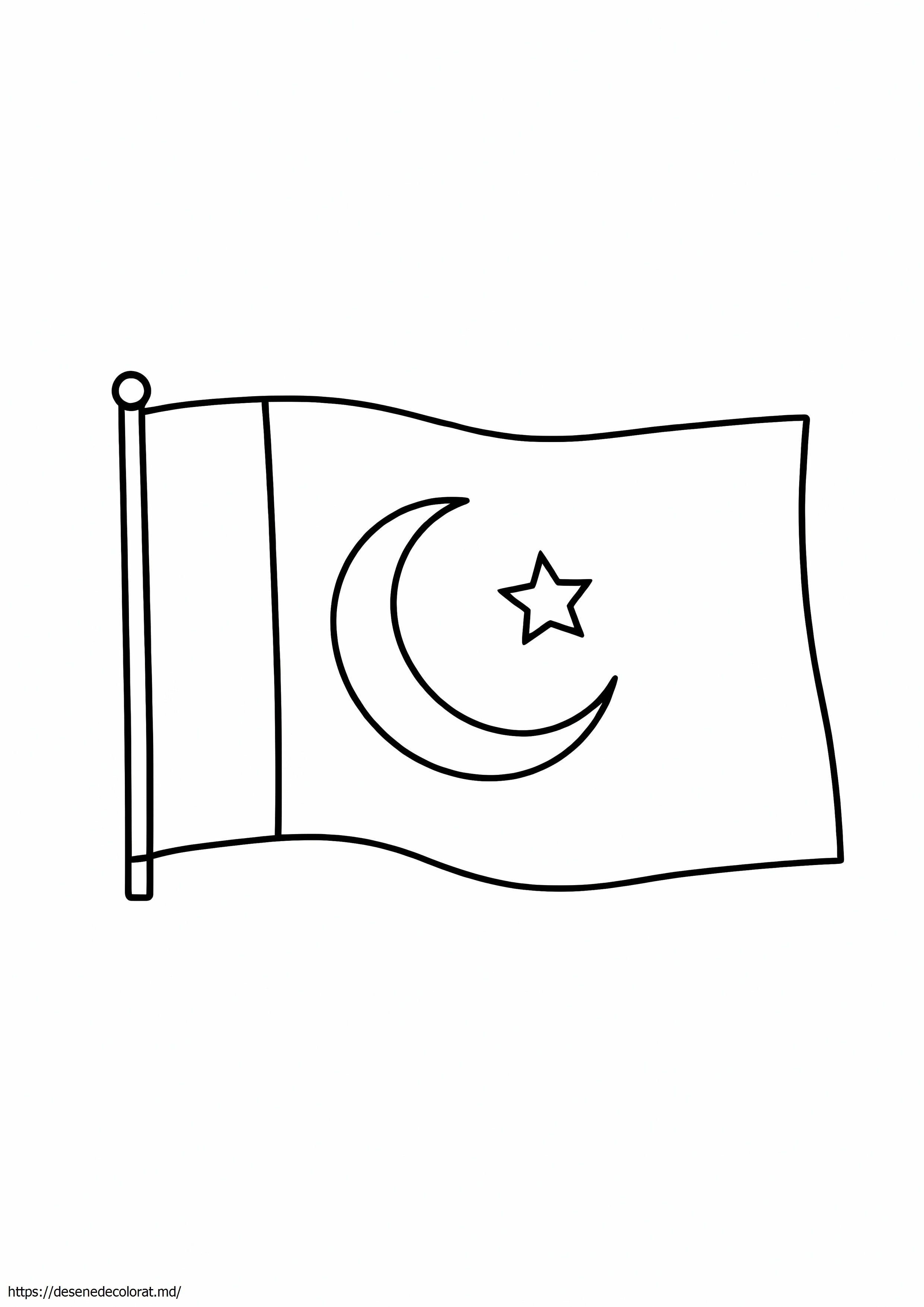 Steagul pakistanului