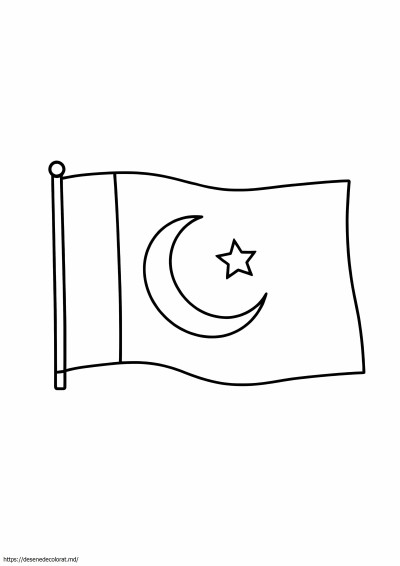 Steagul pakistanului