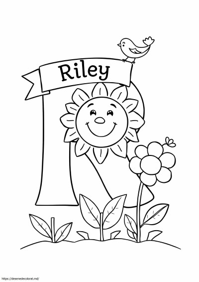 Numele Riley
