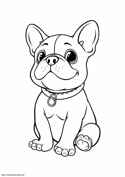 Pui de buldog