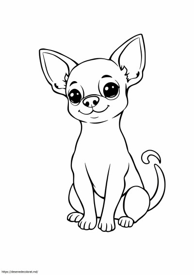 Câine chiwawa