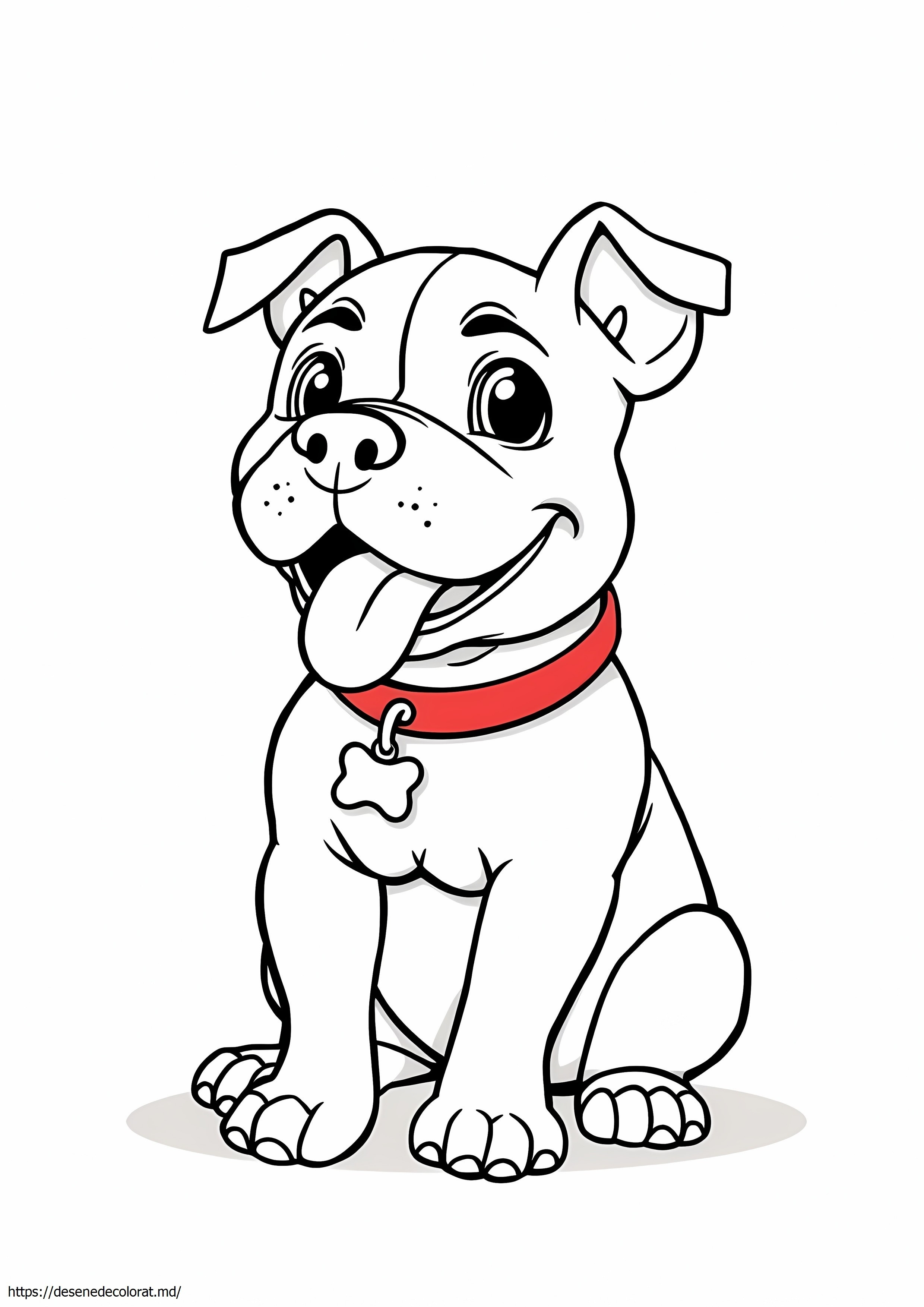 Drăguț pitbull