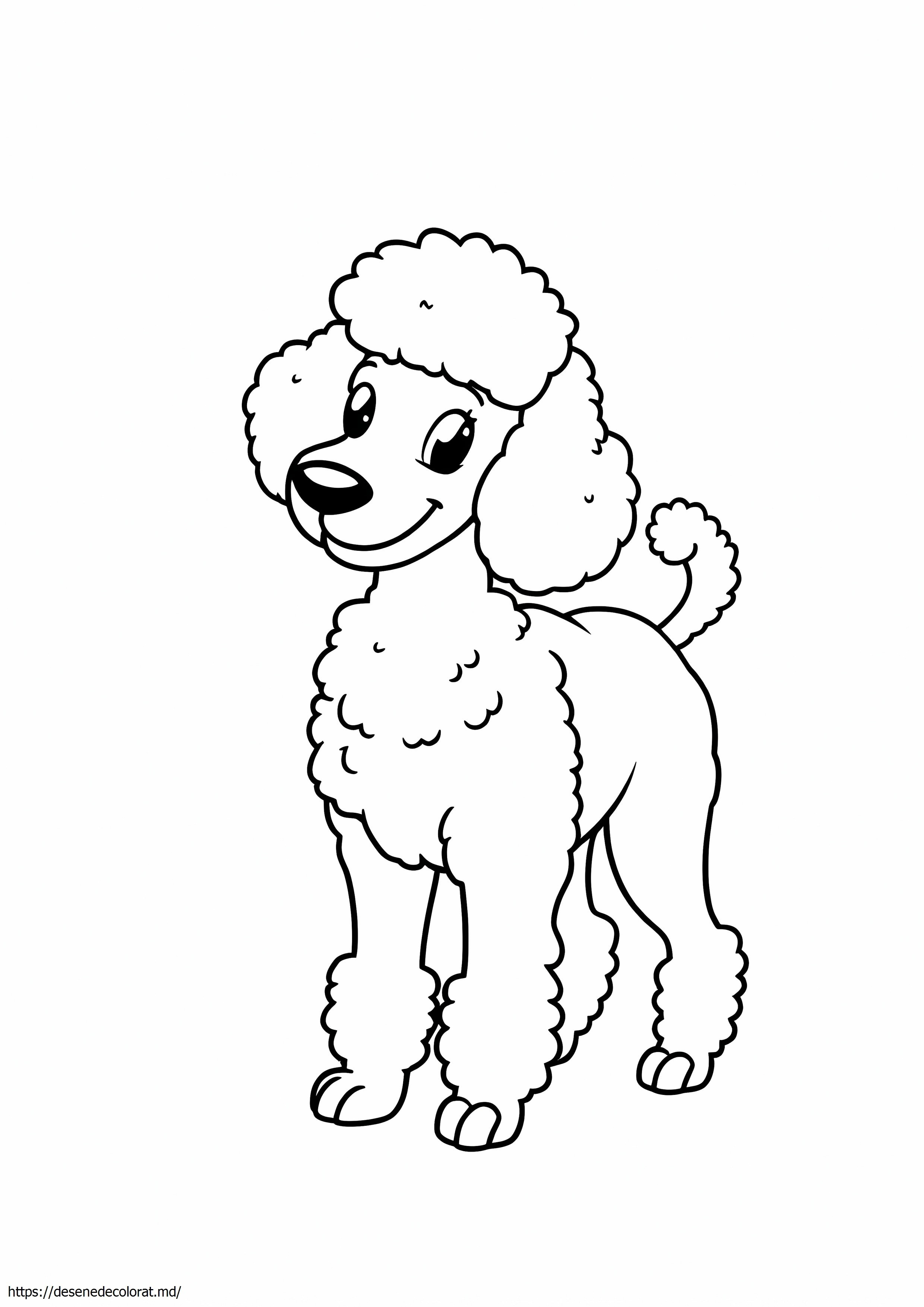 Pudel