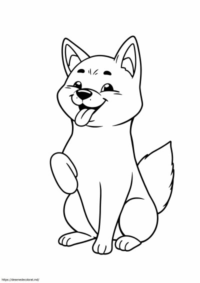 Shiba inu