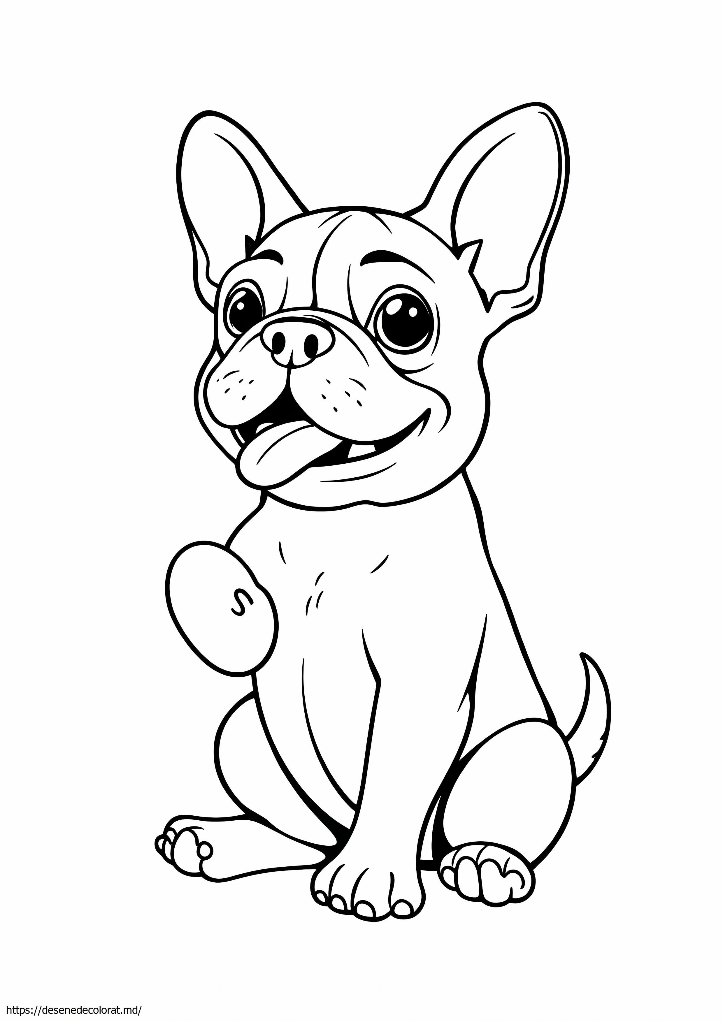 Caine taur francez