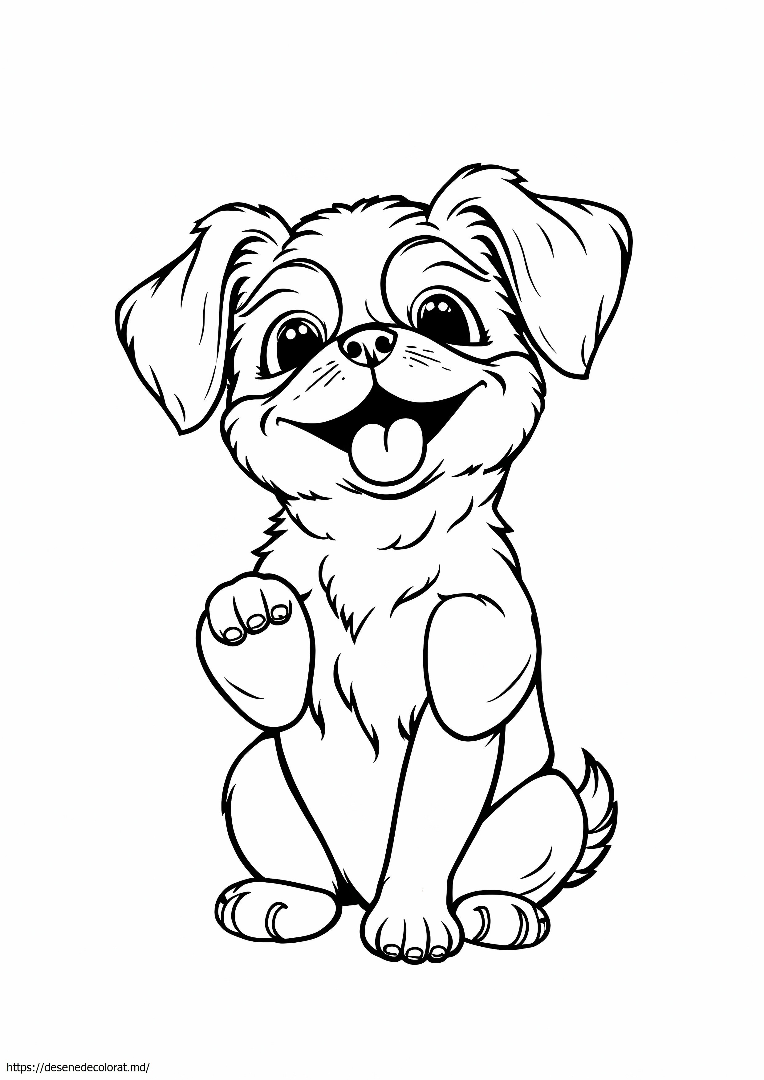 Shih tzu