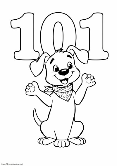 101 catelus