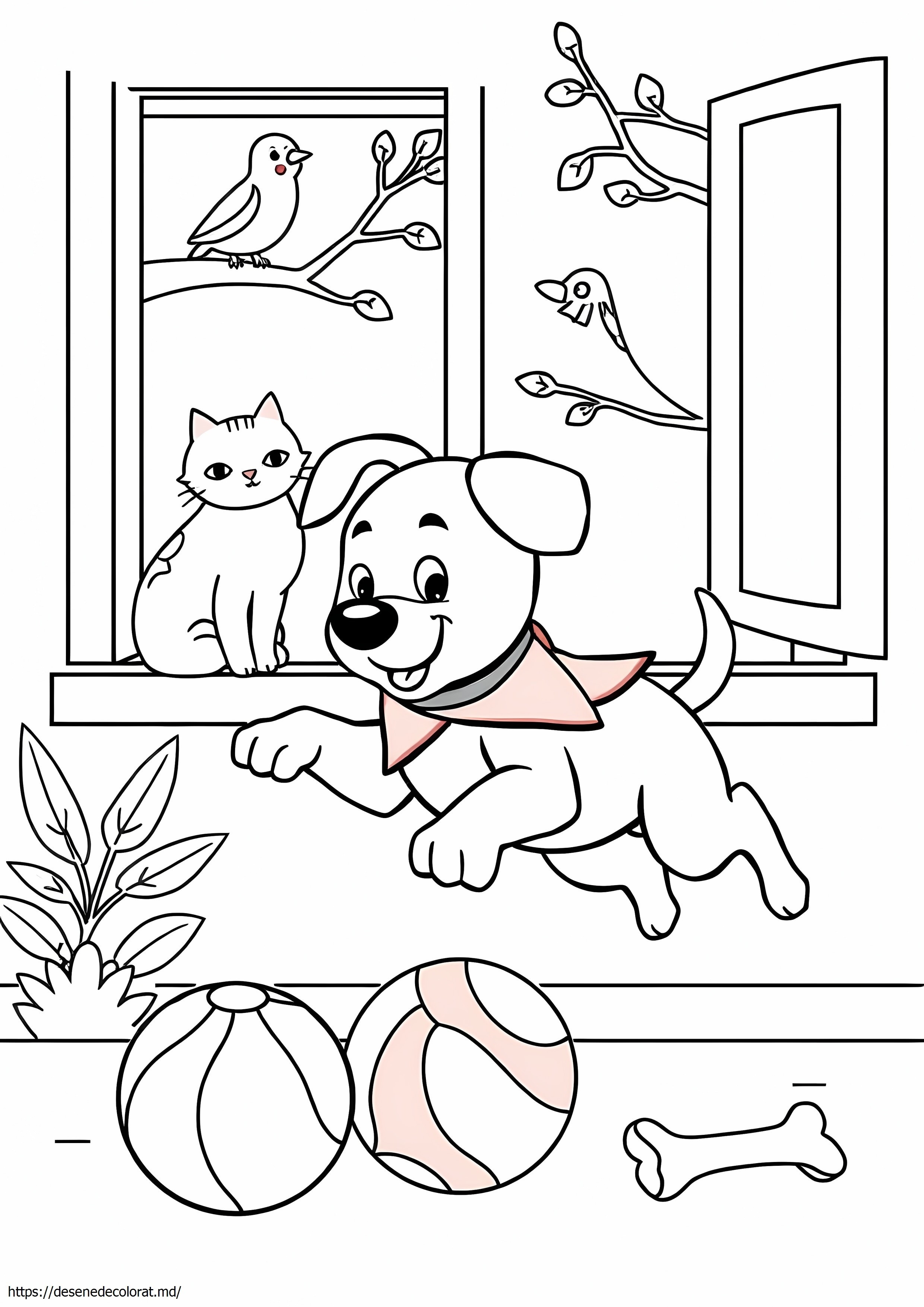 O viață de animale de companie
