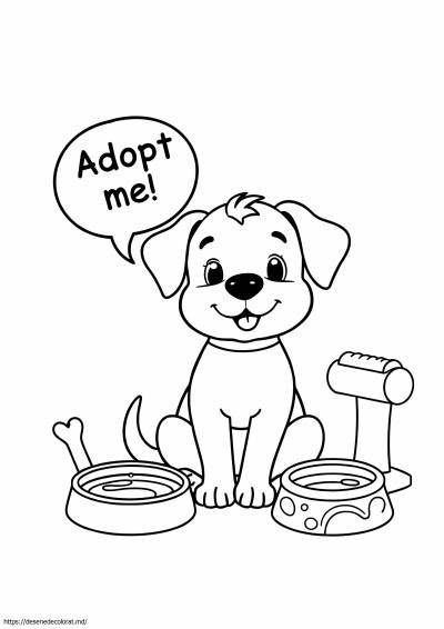 Adopta un animal de companie