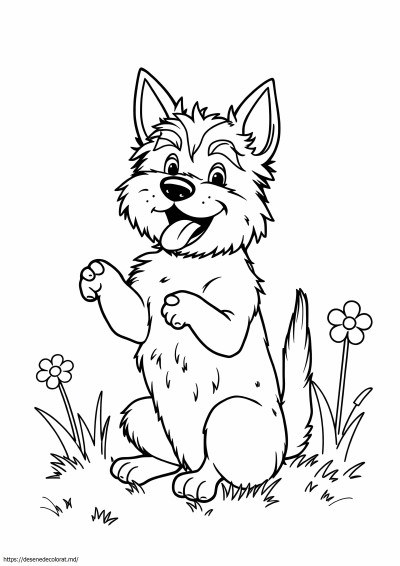 Cairn terrier