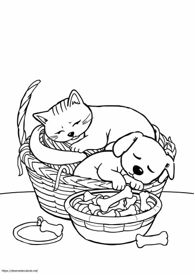 Catnap si dogday