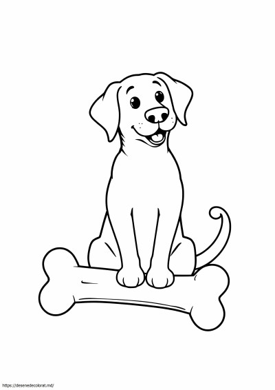 Labrador ușor