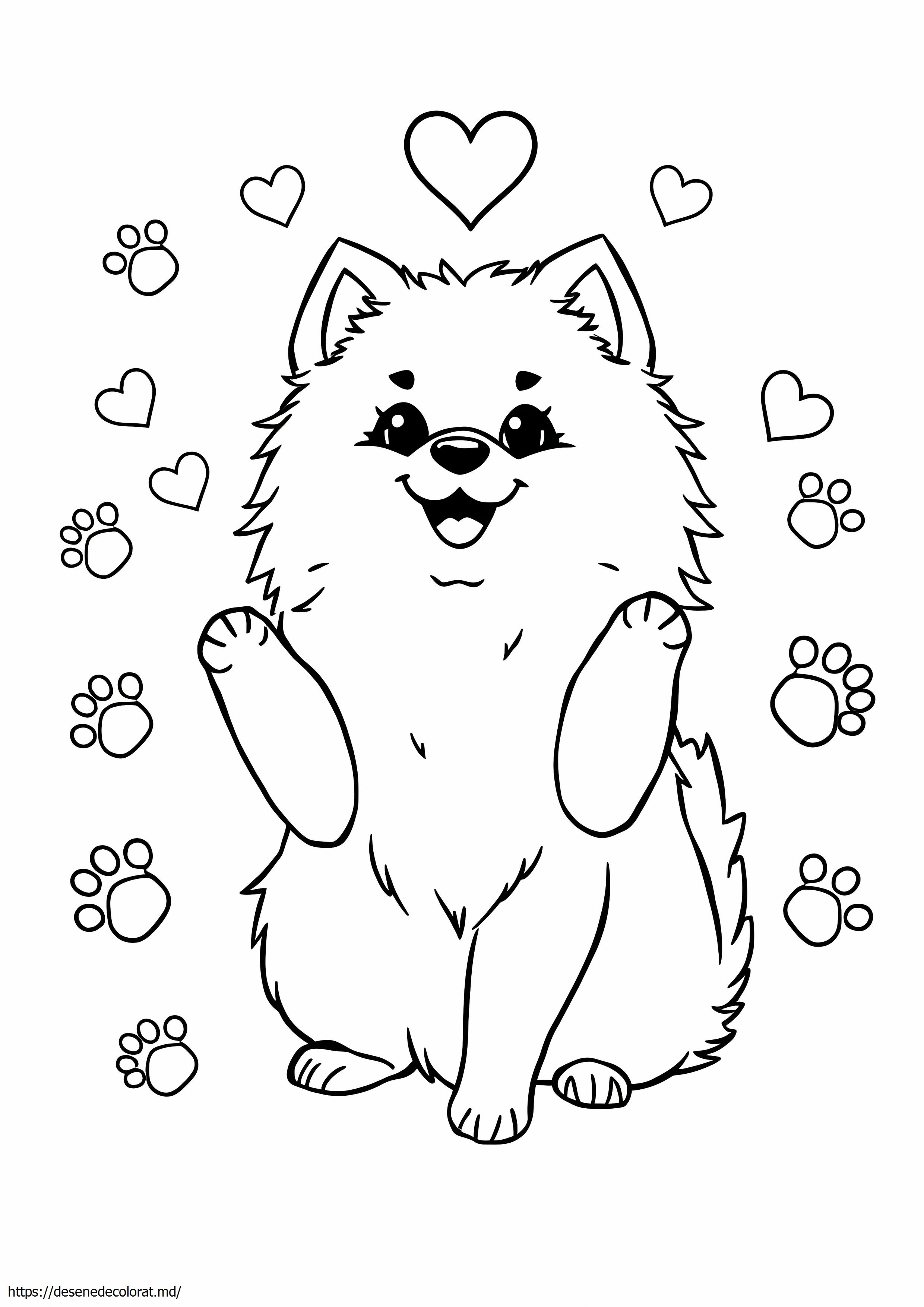 Pomeranian