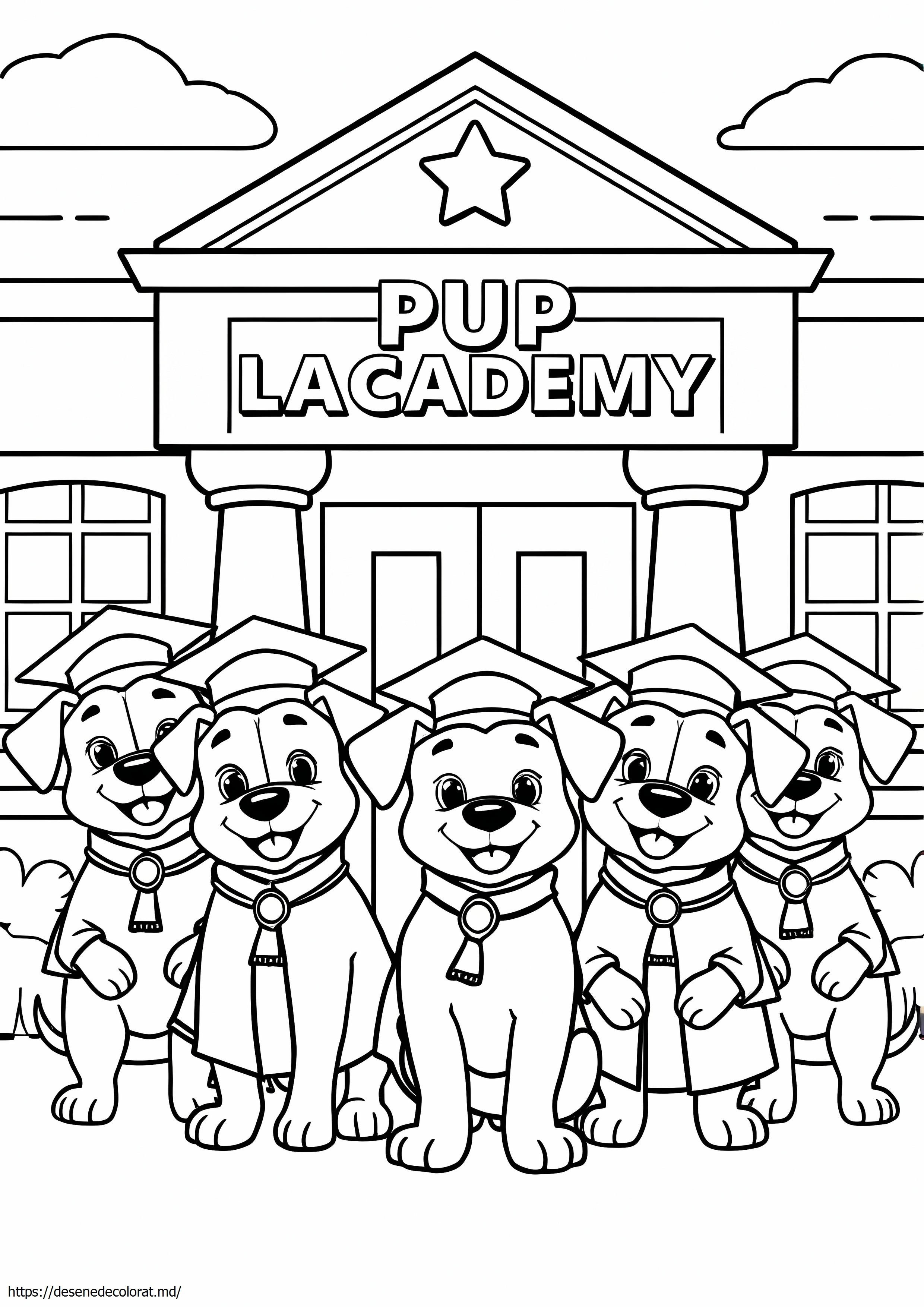 Academia puilor