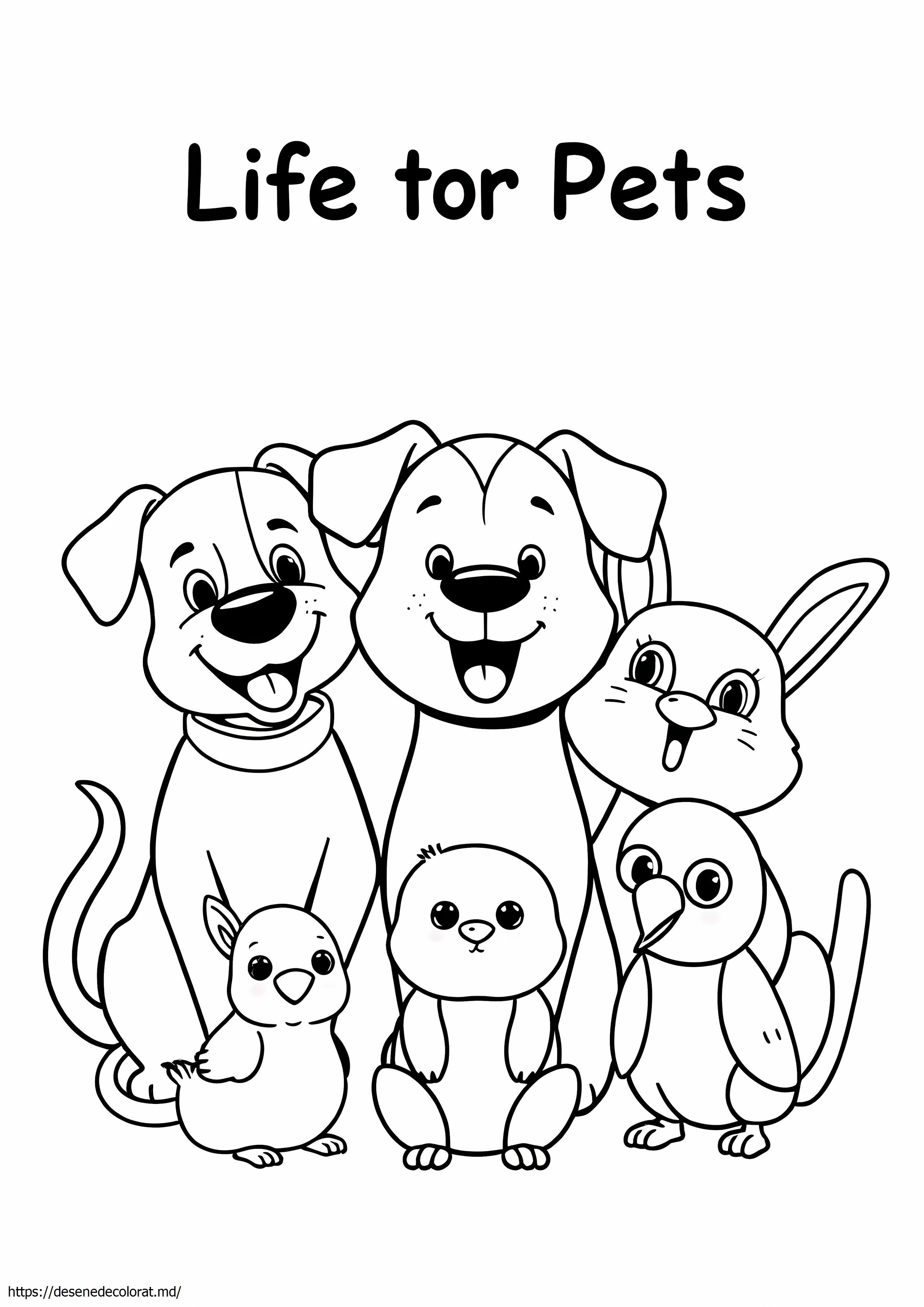 Viata animalelor de companie