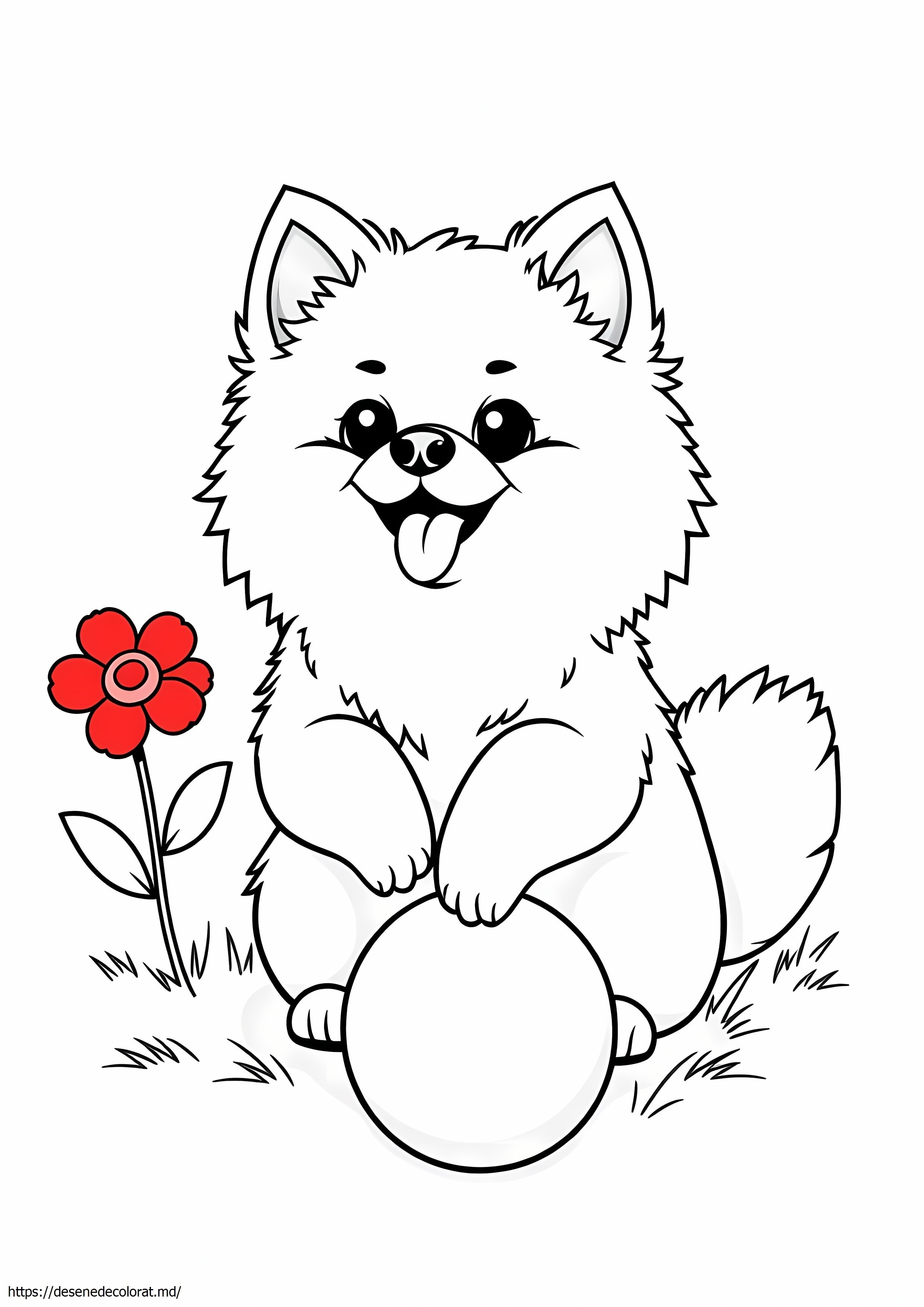 Pomeranian realist