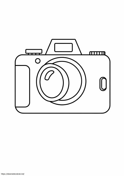 Camera simpla