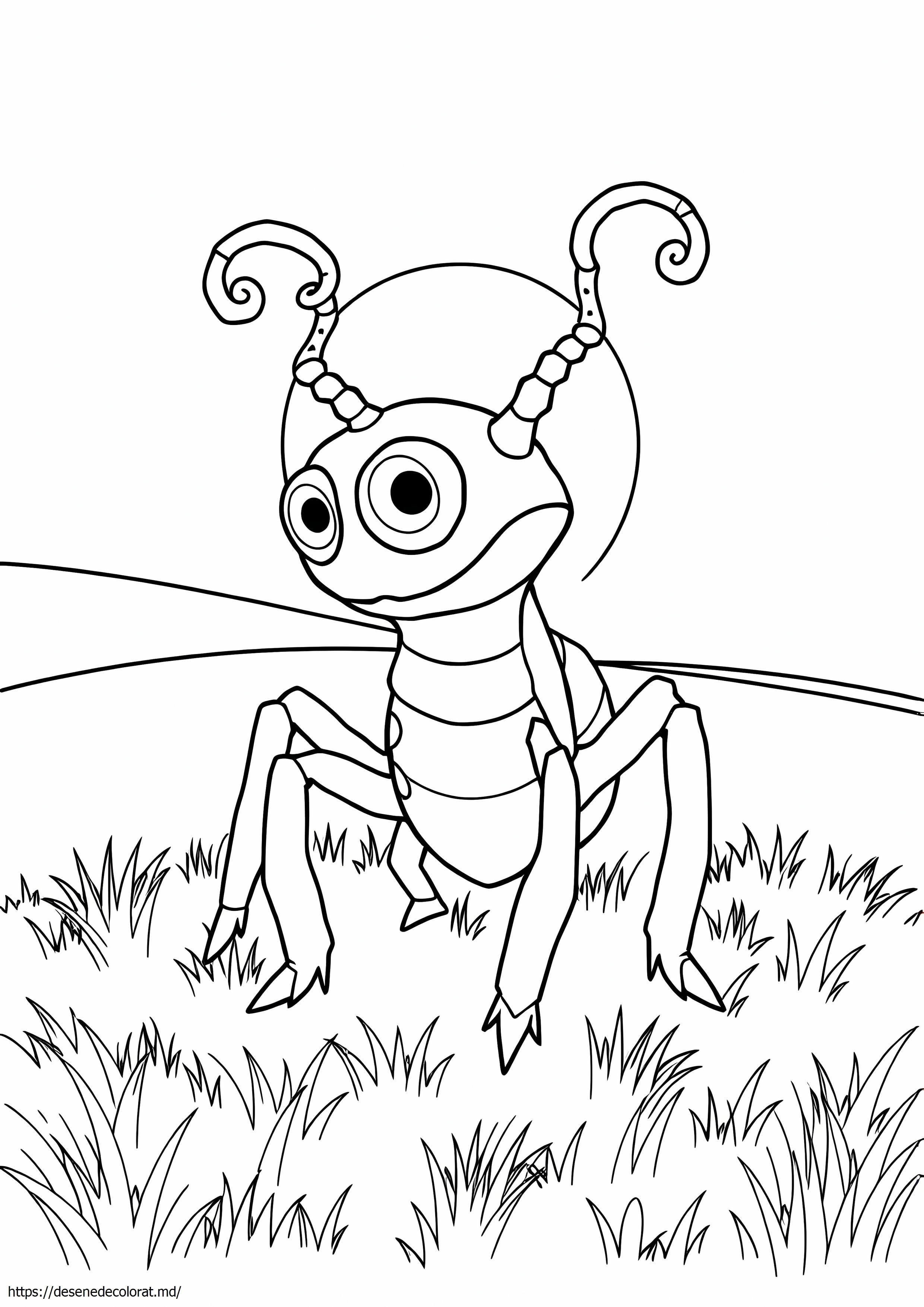 Accelgor