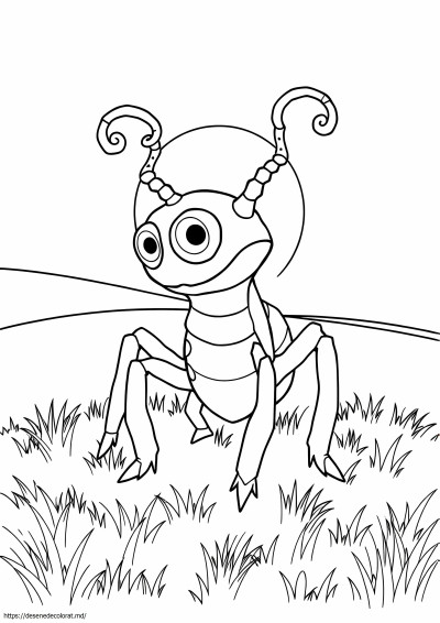 Accelgor