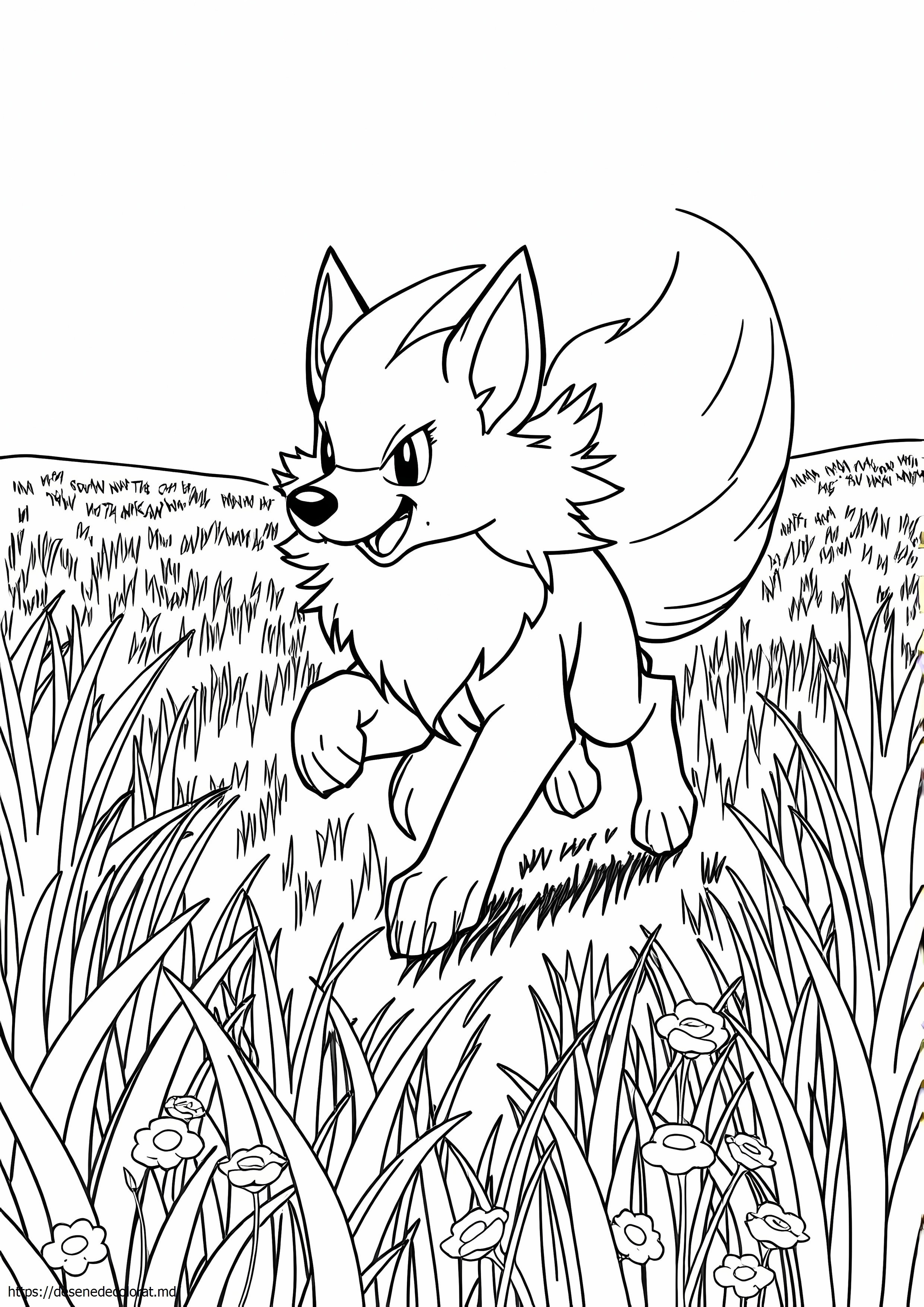 Pokemon arcani