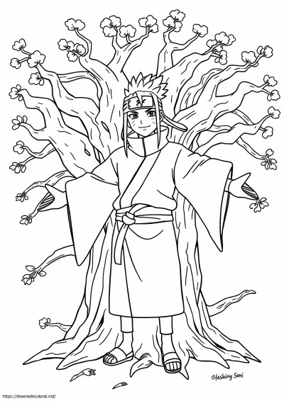 Hashirama
