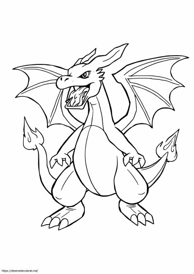Charizard x