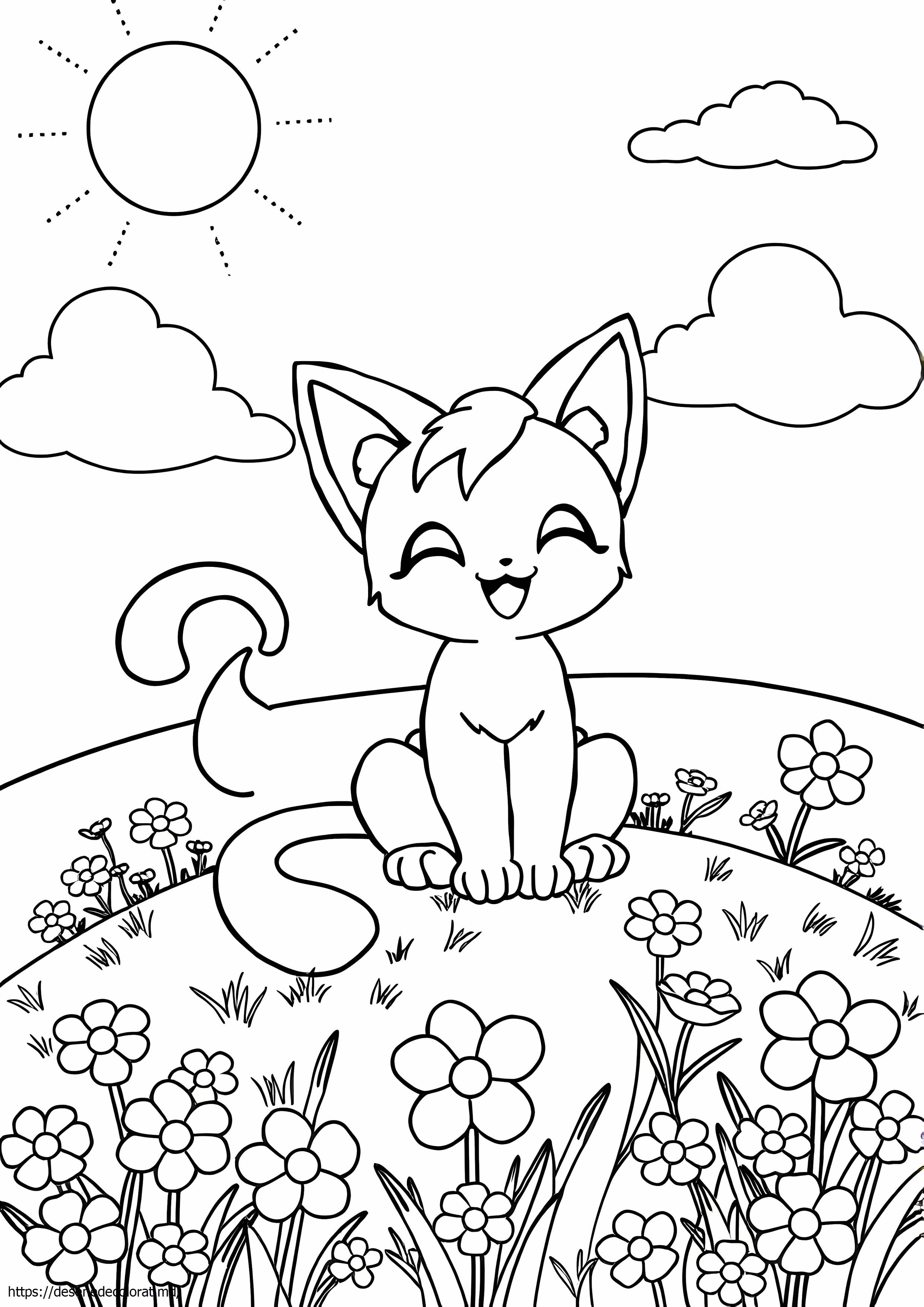 Miau
