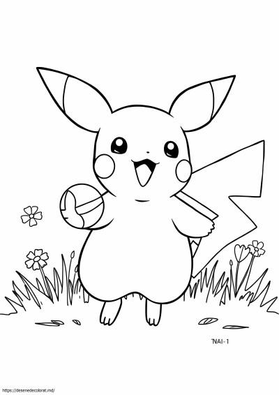 Pokemon raichu