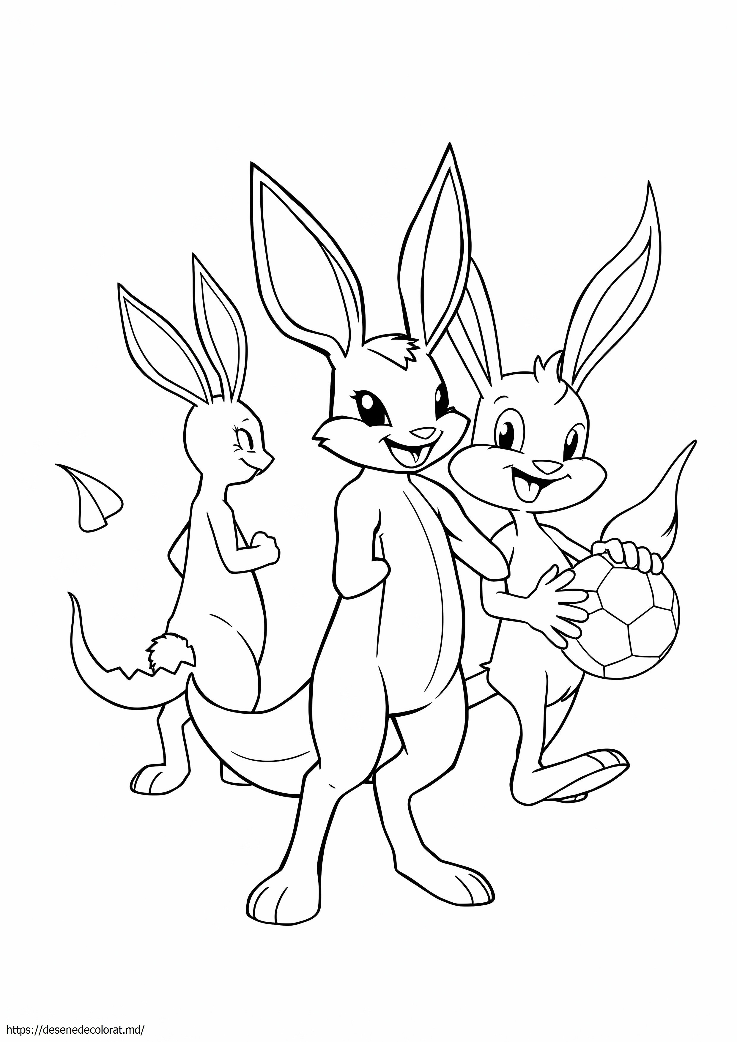 Evoluția scorbunny