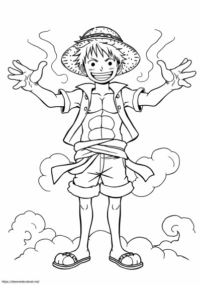 Echipament luffy 2
