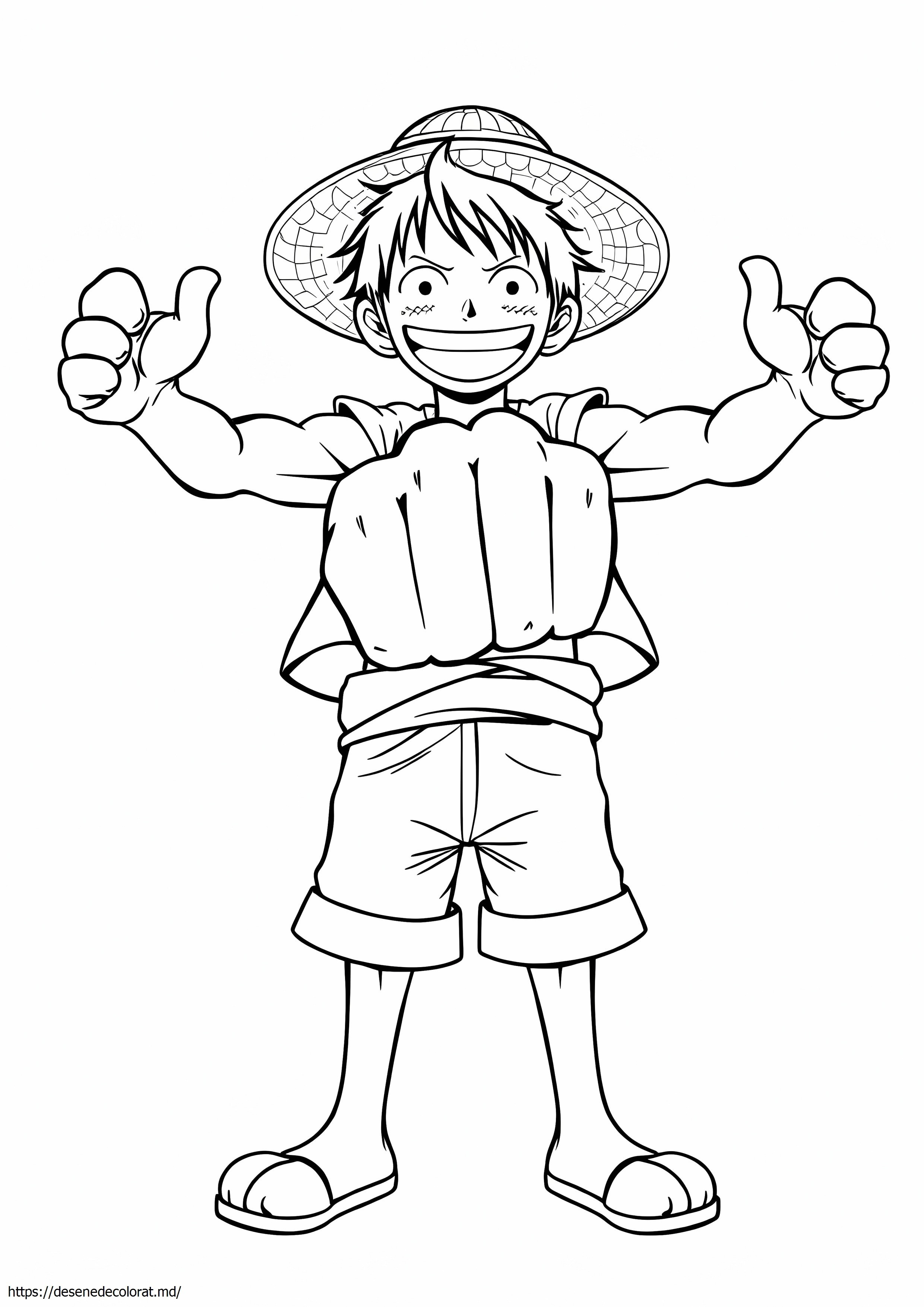 Echipament luffy 3