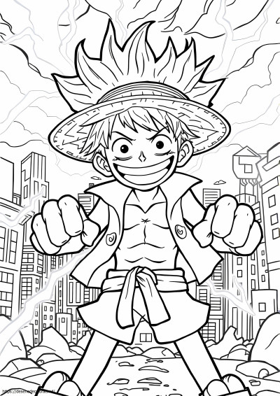 Echipament luffy 5