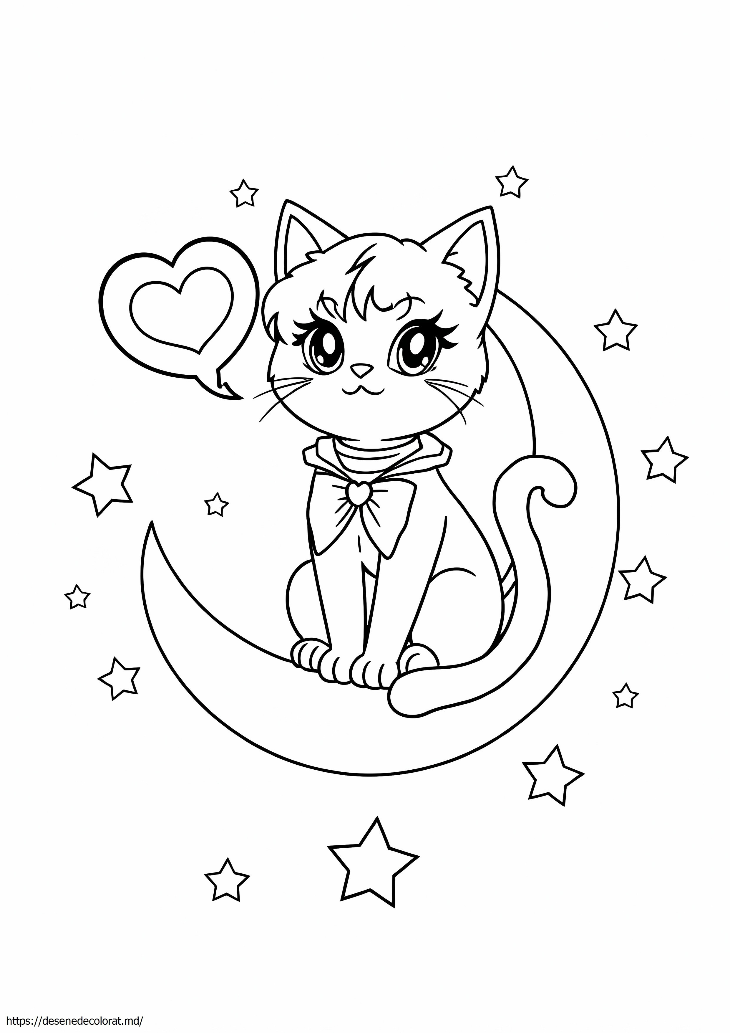 Luna sailor moon cat