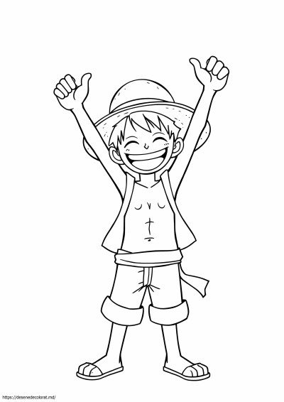 Maimuță d luffy