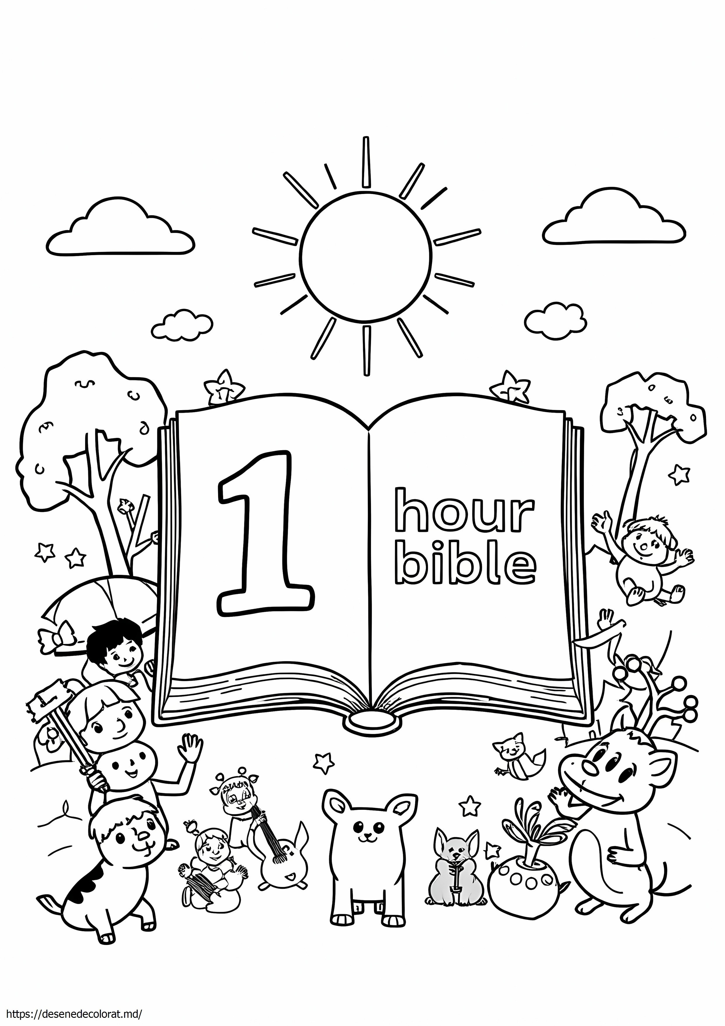 Biblia de 1 ora