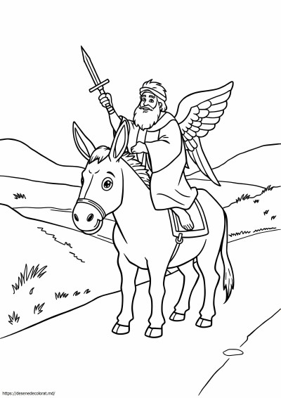 Măgar balaam