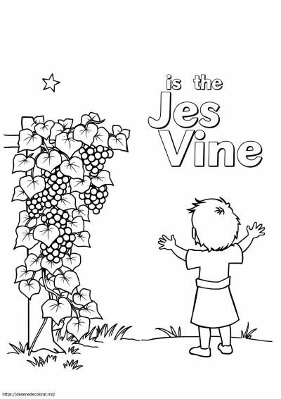 Isus este viţa de vie