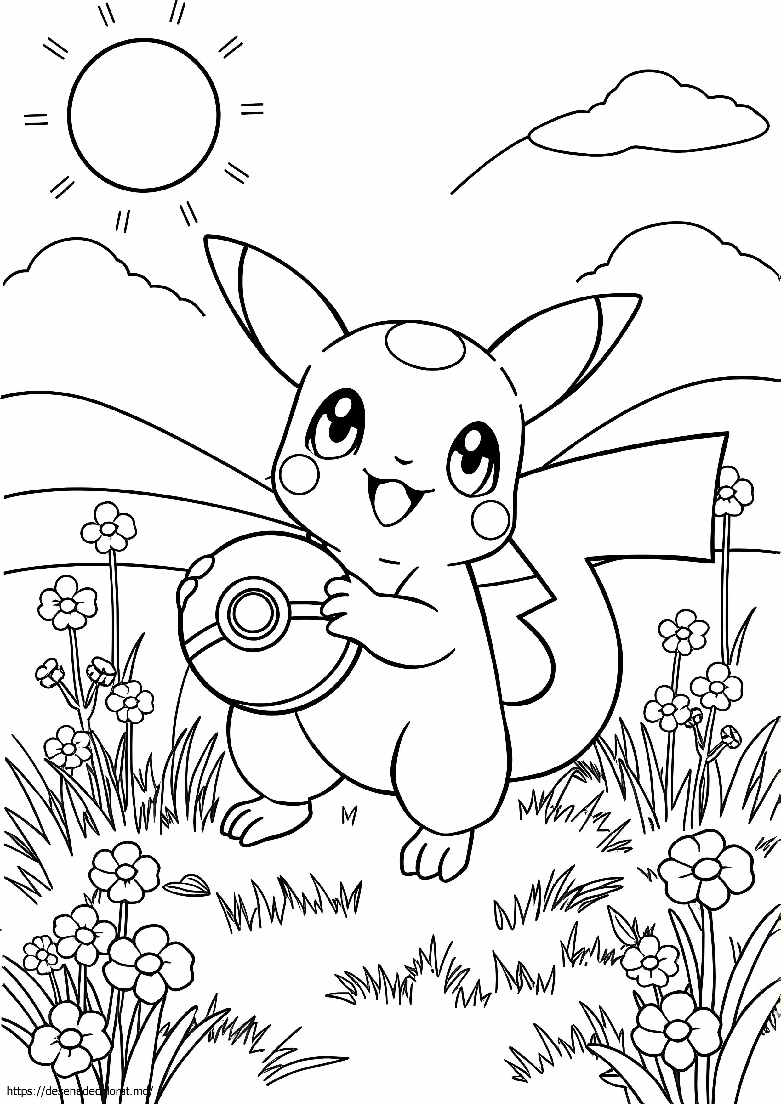 Pokemon nou