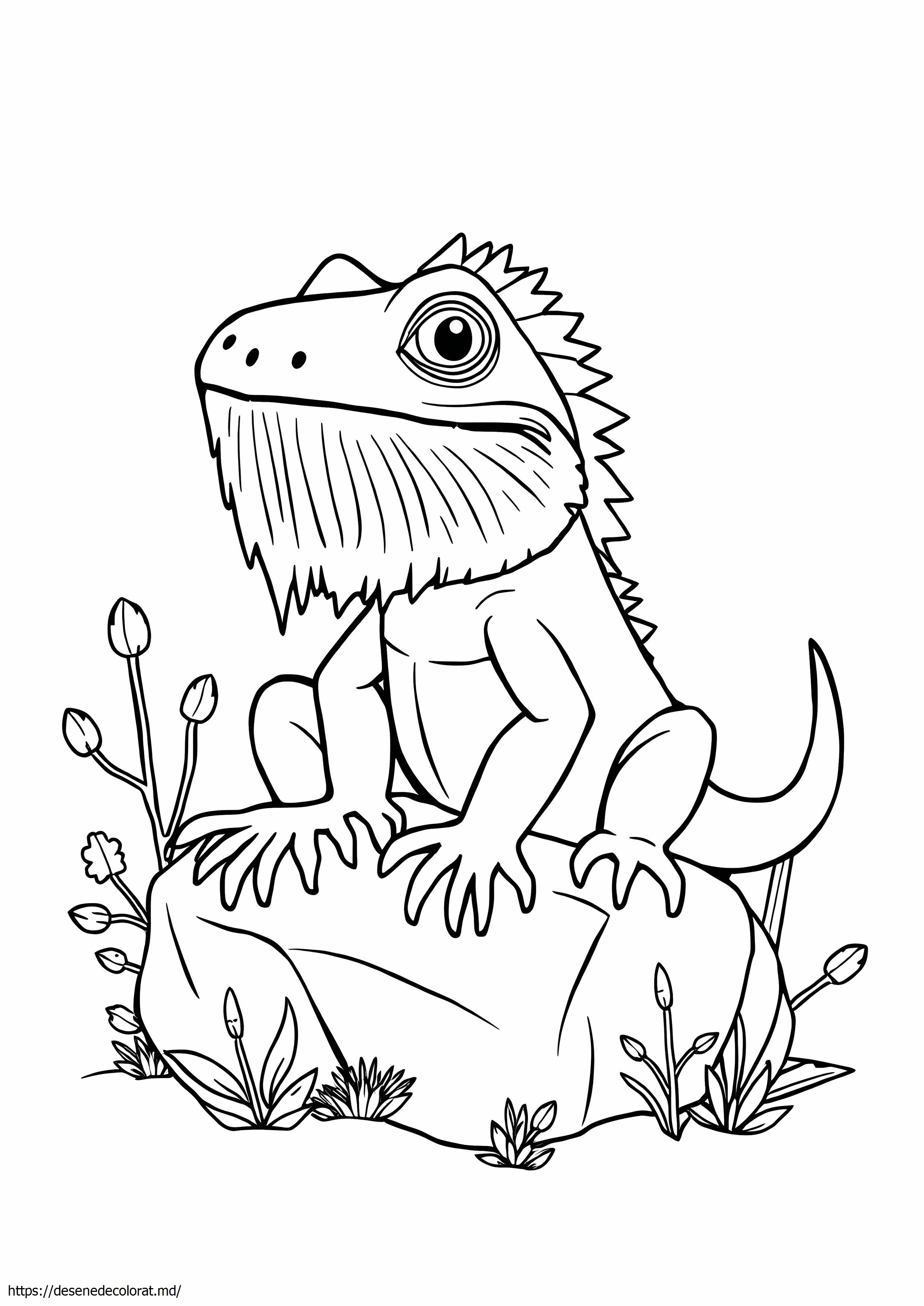 Dragon barbos