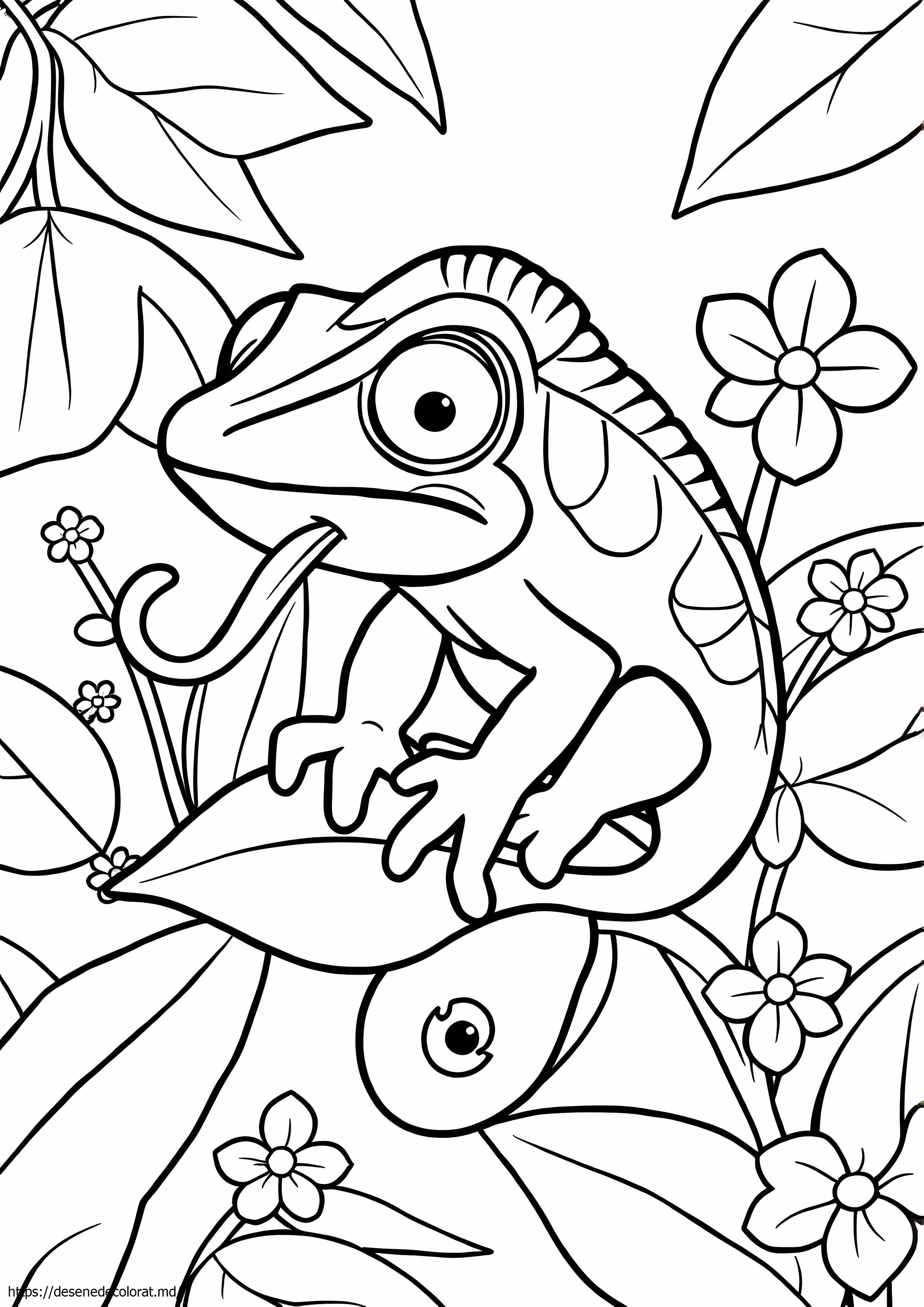 Pui de cameleon