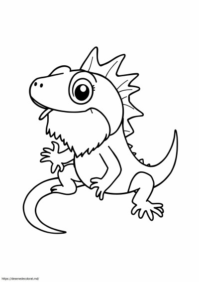 Dragon cu barbă ușor