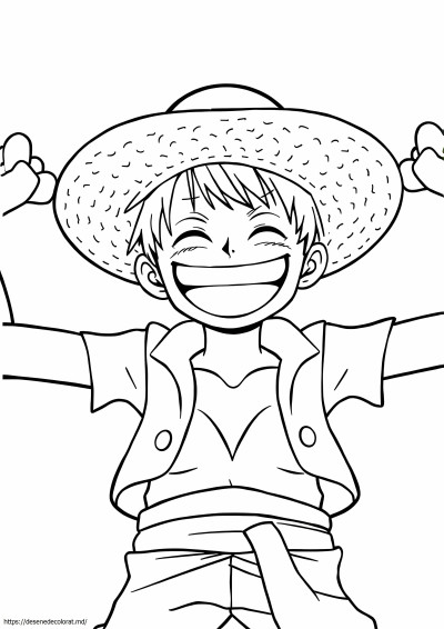 Luffy dintr-o bucată