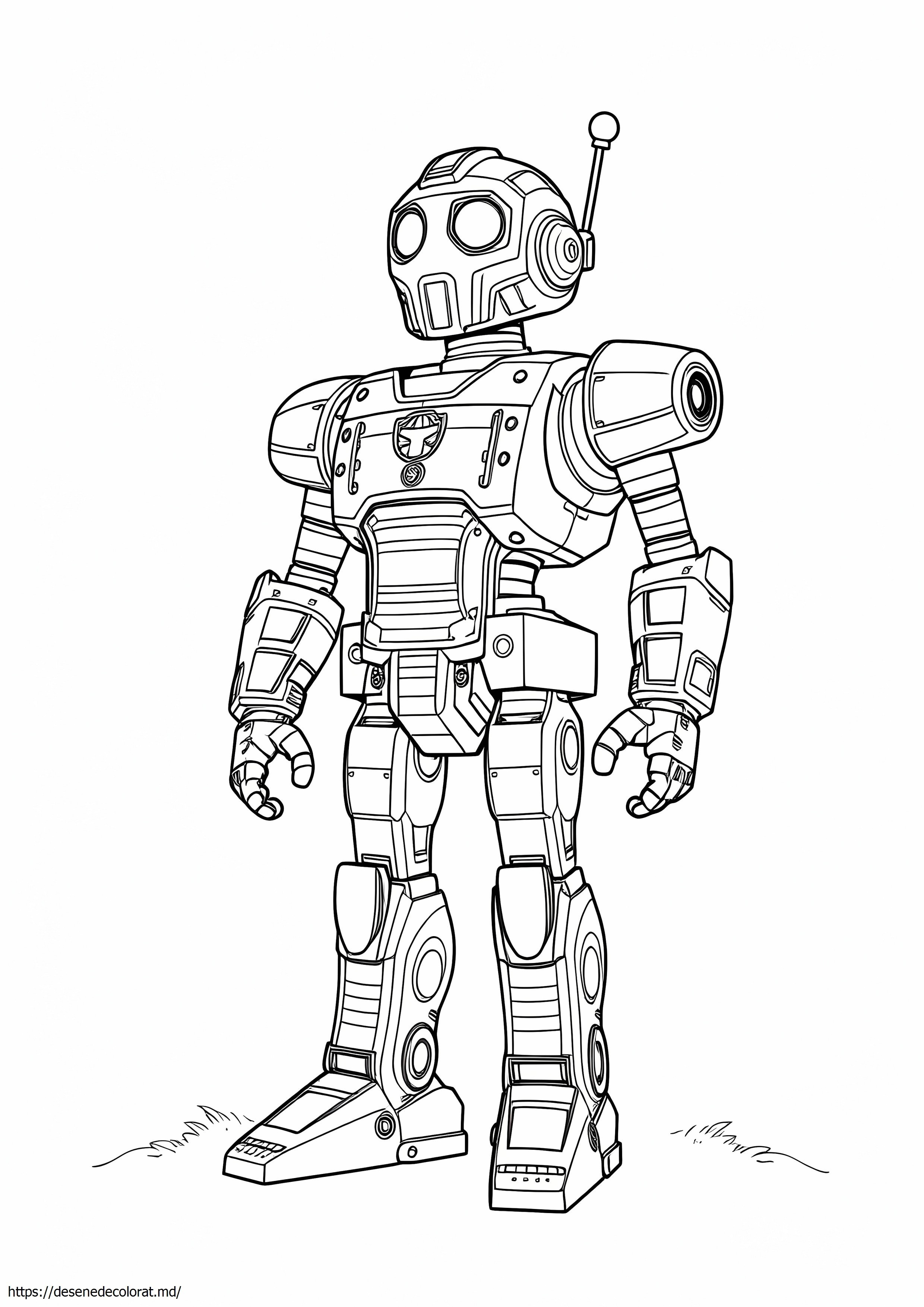 Robot detaliat