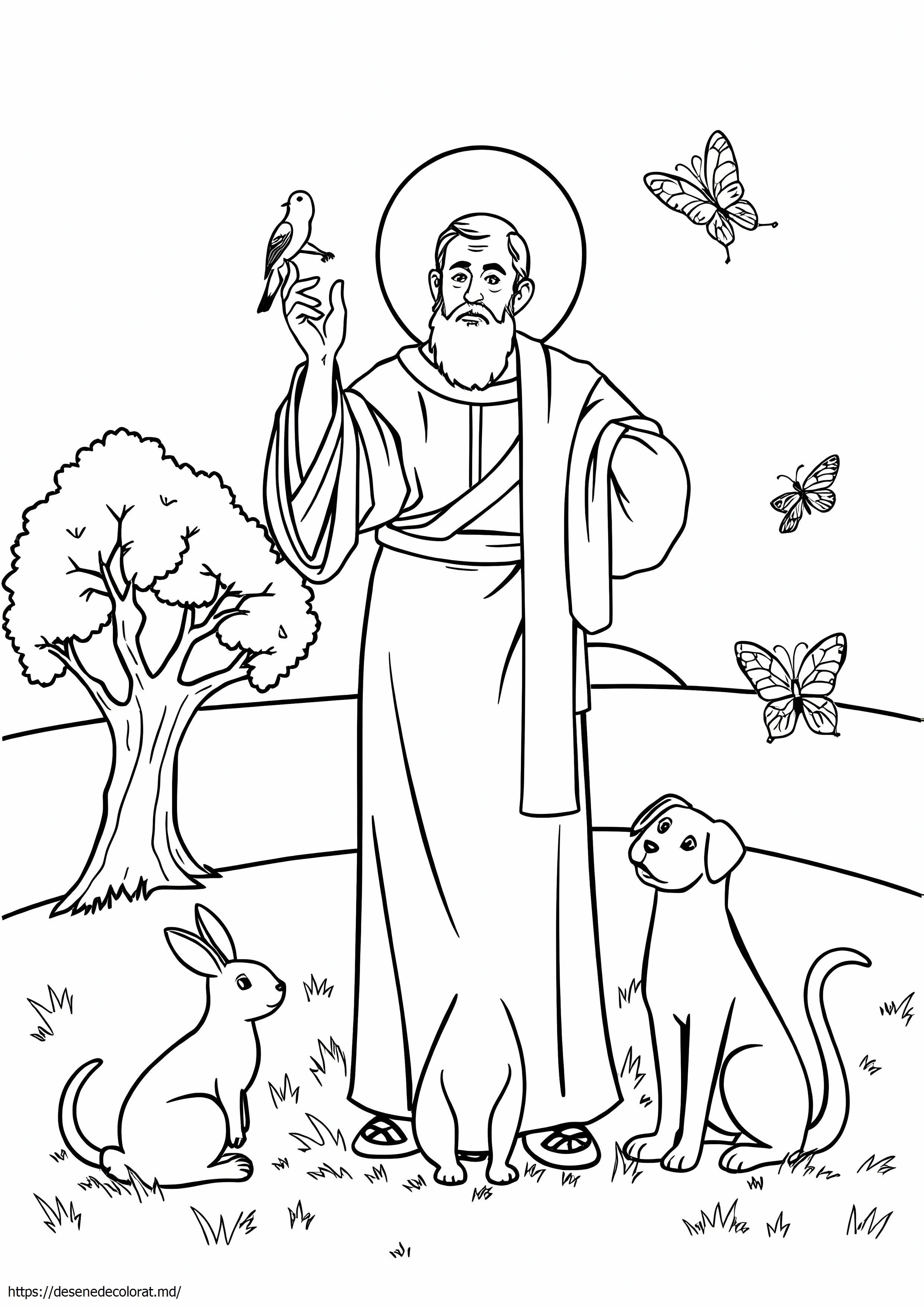 Sfânt francis