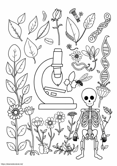 Biologie