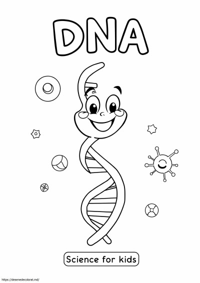 ADN